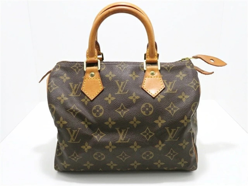 LOUIS VUITTON Speedy Monogram Handbag